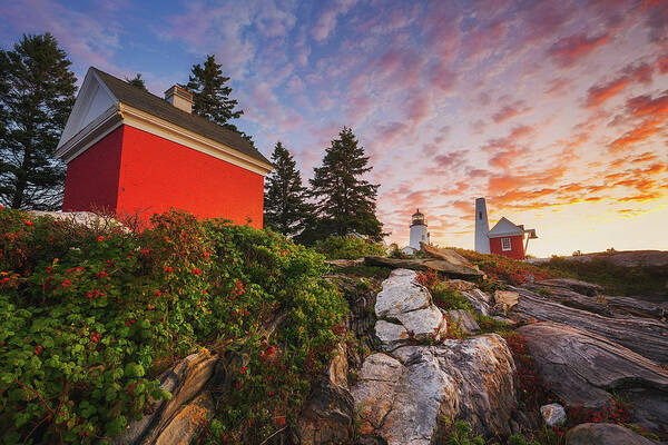 2017 Poster featuring the photograph Sunrise at Pemaquid Light by Robert Clifford