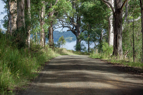 Australia Poster featuring the photograph Take Me Home Country Roads by Az Jackson