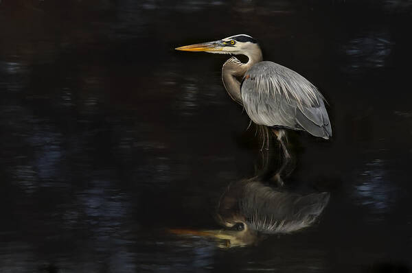Heron Poster featuring the photograph The Hunter by Carol Eade