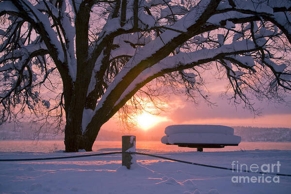 Winter Poster featuring the photograph Winter light by Idaho Scenic Images Linda Lantzy