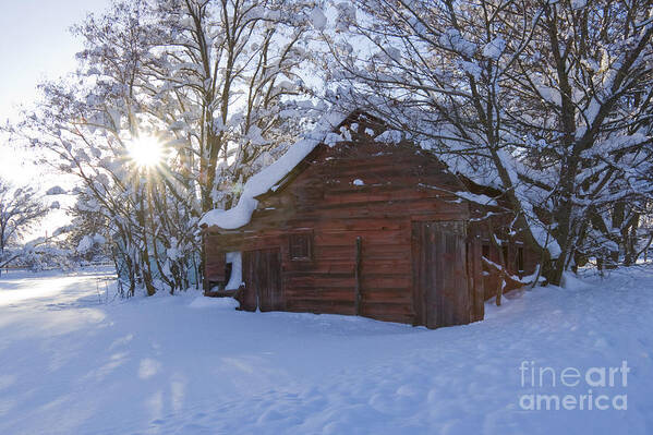 Red Poster featuring the photograph Winter Stable by Idaho Scenic Images Linda Lantzy