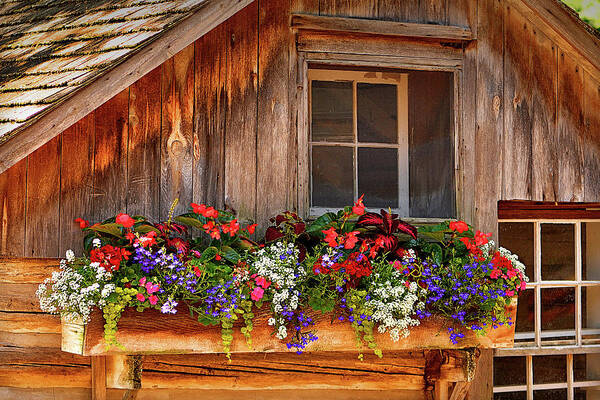 Posters Poster featuring the photograph Cottage Flowers by Rod Melotte