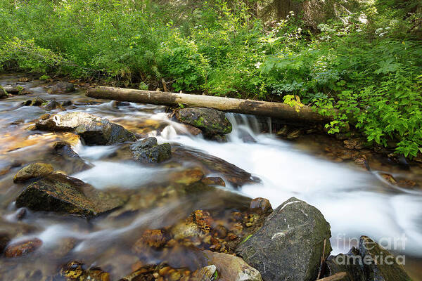 Bitterroot Mountains Poster featuring the photograph Hidden Creek by Idaho Scenic Images Linda Lantzy