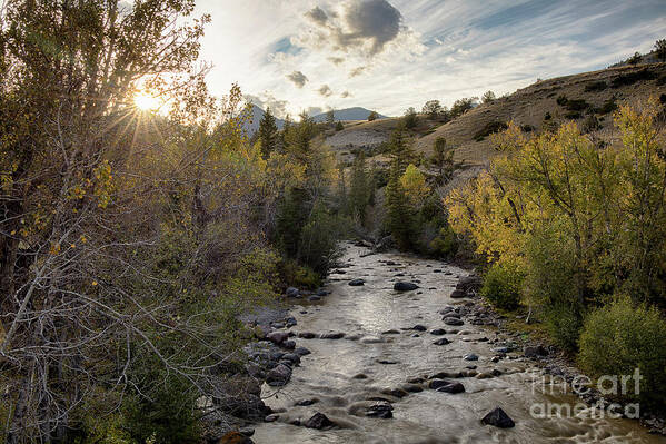 Autumn Poster featuring the photograph Autumn Stream #2 by Idaho Scenic Images Linda Lantzy