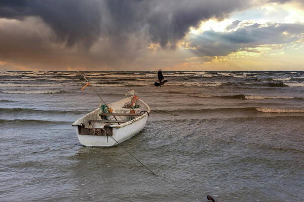 Photography Poster featuring the photograph Autumnal seascape with flying crow Jurmala by Aleksandrs Drozdovs