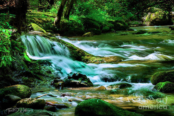 Landscape Poster featuring the photograph By the River in the Smokies by Theresa D Williams