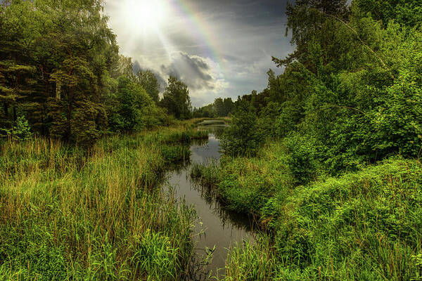 Nature Poster featuring the photograph Nice Day In The Latvian Countryside by Aleksandrs Drozdovs