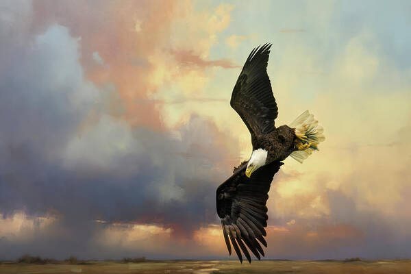 Bald Eagle Poster featuring the photograph Coming Down To Earth by Jai Johnson