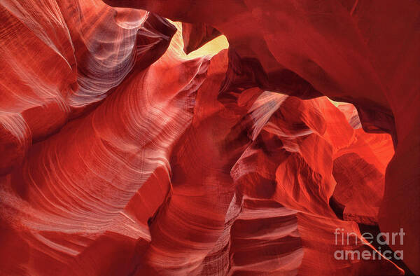 Dave Welling Poster featuring the photograph Corkscrew Or Upper Antelope Slot Canyon Arizon by Dave Welling