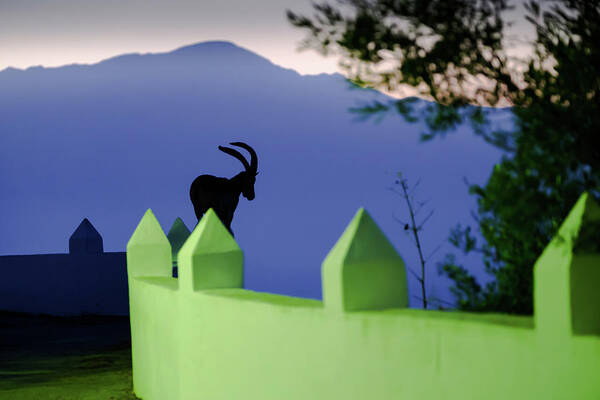 Ibex Poster featuring the photograph Dawn patrol on the Moorish watchtower by Gary Browne