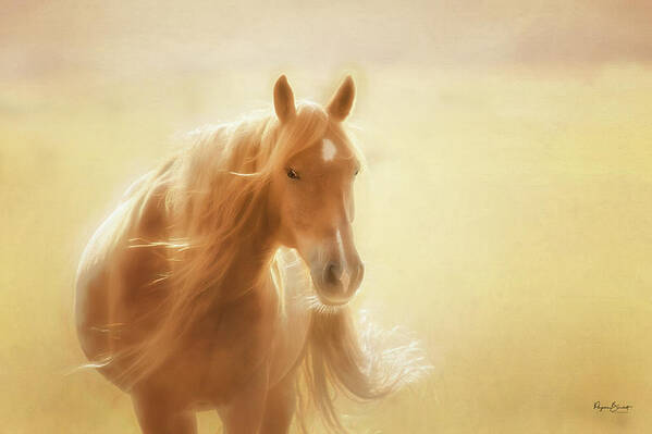 Horse Poster featuring the photograph Dreamlike by Phyllis Burchett