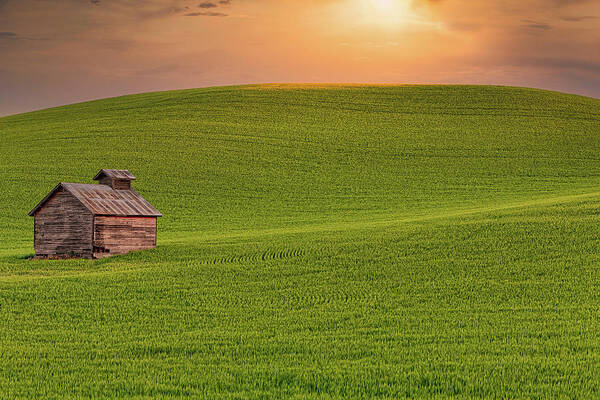 Field Poster featuring the photograph Field Shed by Thomas Hall