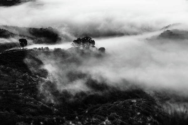 Sea Fog Poster featuring the photograph Fog by Gary Browne