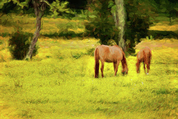North Carolina Poster featuring the photograph Grazing on Sunshine - Horses in a Pasture ap by Dan Carmichael