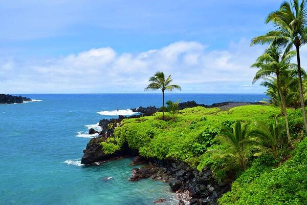 Aloha Poster featuring the photograph Waianapanapa Panoramic View,Hana,Maui by Bnte Creations