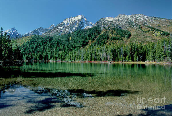 Dave Welling Poster featuring the photograph Leigh Lake Grand Tetons National Park Wyoming by Dave Welling