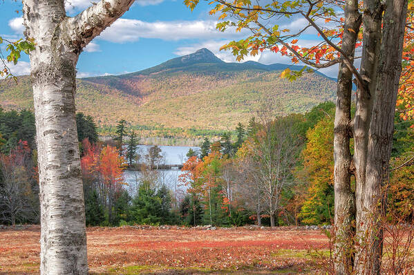 Mount Poster featuring the photograph Mt Chocorua - New Hampshire by Photos by Thom