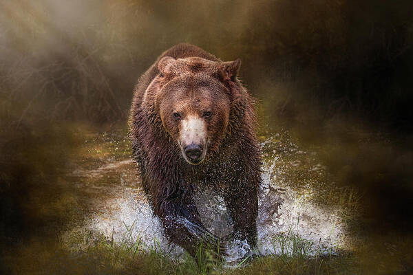 Grizzly Poster featuring the digital art Power of the Grizzly by Nicole Wilde