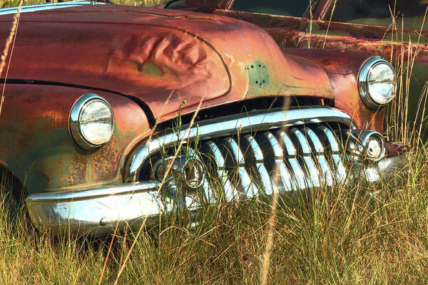 Abandoned Car Poster featuring the photograph Rust by Rick Perkins