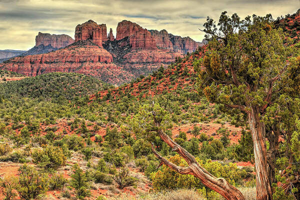 Sedona Poster featuring the photograph Sedona's Cathedral Rock by Donna Kennedy