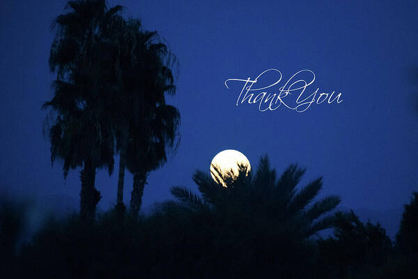  Poster featuring the photograph Thank You Full Moon by Bonnie Colgan