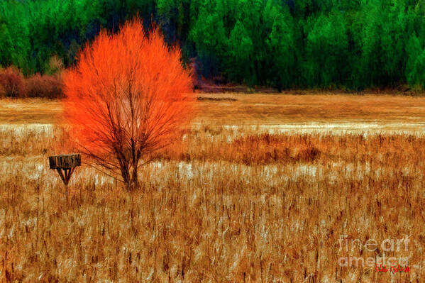  Poster featuring the photograph Tree And Mail Box by Blake Richards