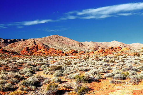 Landscape Poster featuring the photograph Valley of Fire State Park in Nevada by John Rizzuto