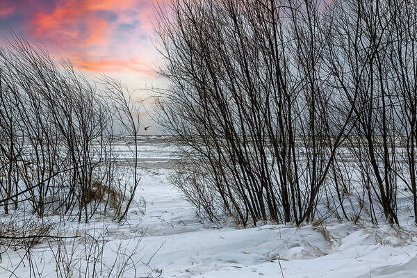Snowy Day Poster featuring the photograph Way To The Snowy Beach Jurmala by Aleksandrs Drozdovs