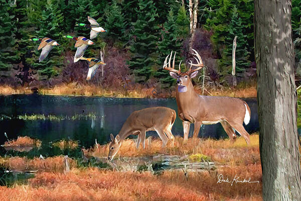 Whitetail Deer Poster featuring the painting Whitetail Deer Art Print - Deer Lake by Dale Kunkel Art