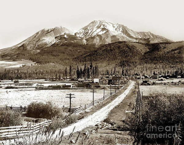 Mt. Shasta Poster featuring the photograph Mt. Shasta Viewed from Sisson Lane Circa 1908 by Monterey County Historical Society