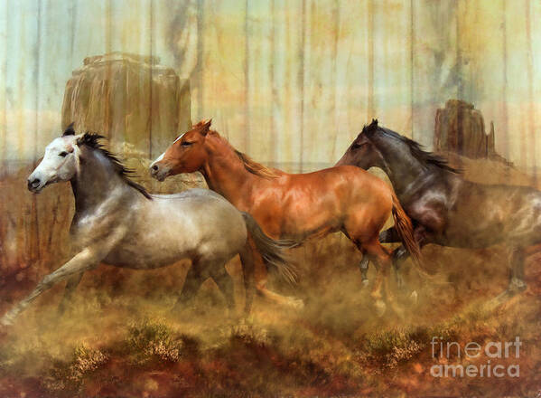 Horse Poster featuring the photograph Mustang Alley by Trudi Simmonds