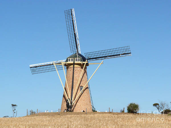 Australia Poster featuring the photograph Dutch Windmill - Western Australia by Phil Banks