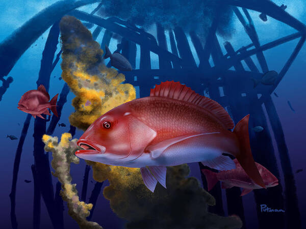 Red Snapper Poster featuring the digital art The Rigs by Kevin Putman