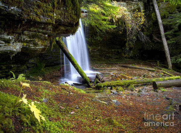 Idaho Poster featuring the photograph Fern Falls by Idaho Scenic Images Linda Lantzy