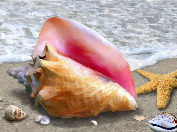 Conch Poster featuring the painting Conch Shell Beach #1 by Stephen Jorgensen