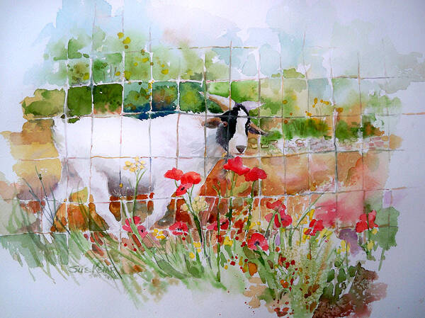 Goat Poster featuring the painting The Other Side of the Fence by Sue Kemp