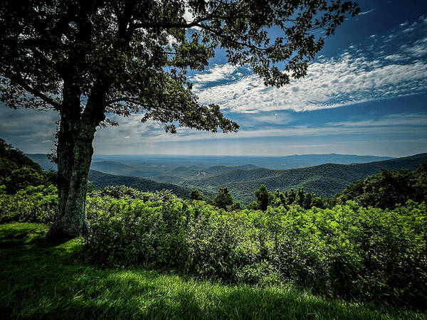 Blue Ridge Parkway Poster featuring the photograph Rock Castle Gorge Overlook - HDR by Deb Beausoleil
