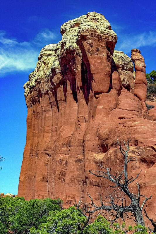 Arches National Park Poster featuring the photograph Arches National Park #3 by Tommy Farnsworth