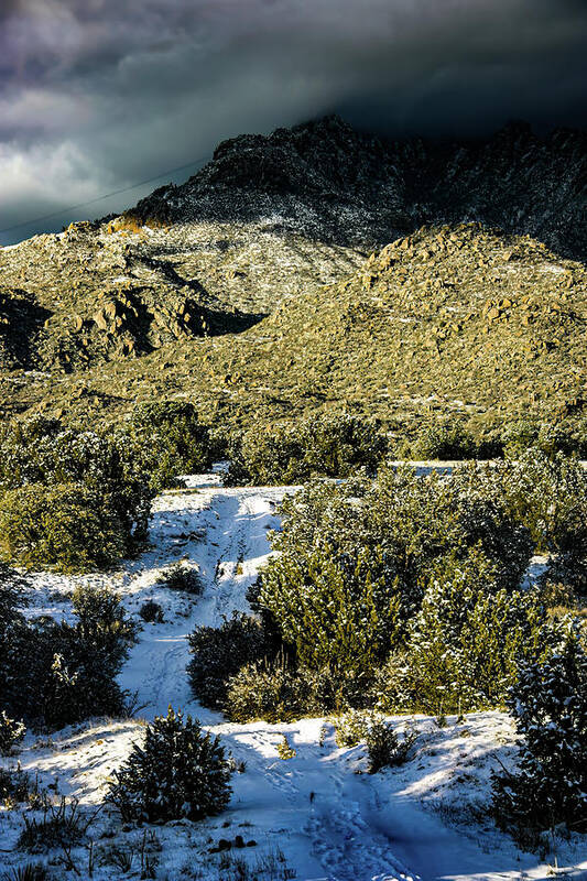 2003 Poster featuring the photograph Sandia Mountains New Mexico by Tommy Farnsworth