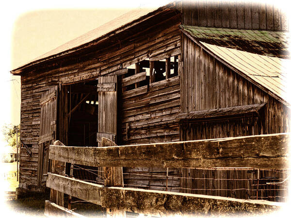 Barn Poster featuring the photograph Leading to the Barn by Jo-Anne Gazo-McKim
