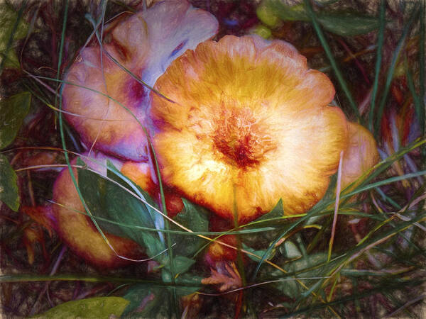 Landscape Poster featuring the digital art Magical Mushrooms by Jo-Anne Gazo-McKim