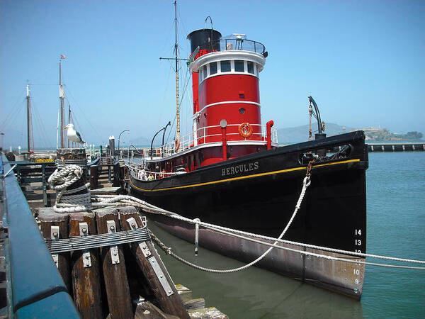 Seagull Poster featuring the photograph Tug Boat by Carlos Diaz