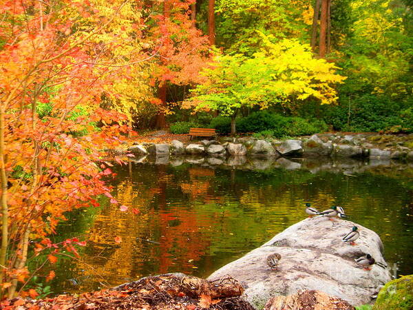 Serenity Scenes Photography Landscape Scenic Pacific Northwest Forest Woods Trees Shasta Eone Oregon Nature Lithia Park Ashland Fall Autumn Color Leaves Stream River Water Rocks Duck Pond Poster featuring the painting Li12.23 #2 by Shasta Eone