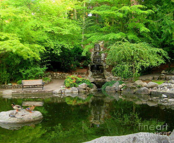 Serenity Scenes Photography Nature Woods Forest Woods Stream River Rocks Trees Green Water Pacific Northwest Oregon Ashland Lithia Park Shasta Eone Pond Poster featuring the painting Lower Pond by Shasta Eone