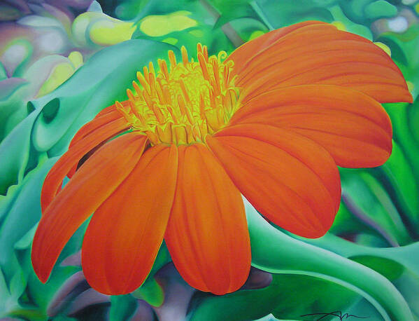 Flowers Poster featuring the painting Orange flower by Joshua Morton