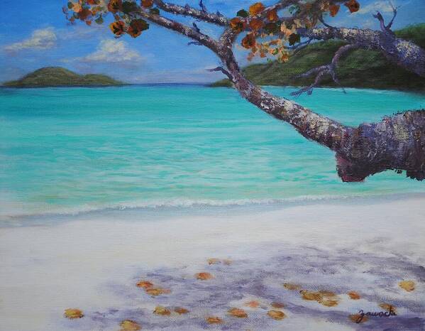Caribbean Painting Print Poster featuring the painting Under the Tree at Magen's Bay by Alan Zawacki