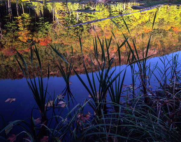 Adirondacks Poster featuring the photograph Crane Mt Reflections by Bob Grabowski