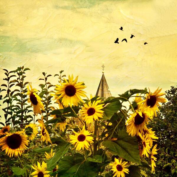 Iphone Poster featuring the photograph Sunflower Serenade by Richard Cummings