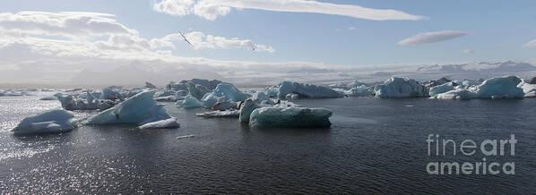 Europe Poster featuring the photograph Jokusarlon glacial lagoon by Agnes Caruso