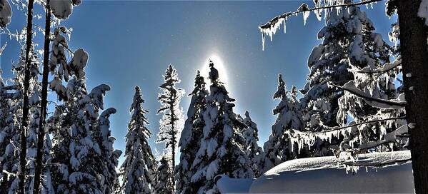 Sun Corona Of Winter Scene Poster featuring the photograph Sun and Snow by Mike Helland